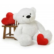 Personalized Teddy Bears (13)
